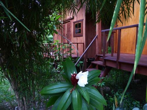 Hostal Shibui Garden Bungalows And Restaurant