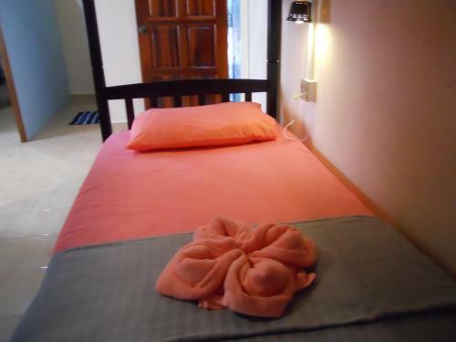 Albergue Rainbow Lodge Female Dorm