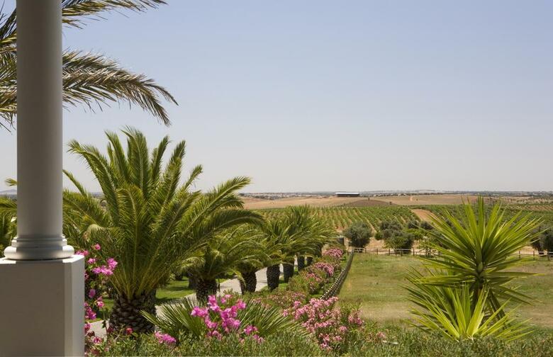 Agroturismo Herdade Dos Grous