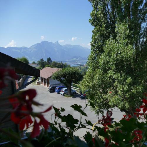 Posada Hotel Adler