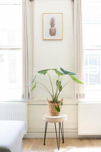 Apartamento Fruit Of The City
