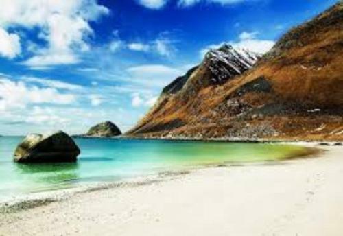 Vevika Lofoten