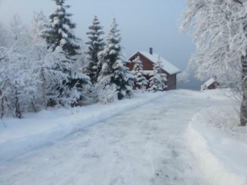 Lodge Foss-stua