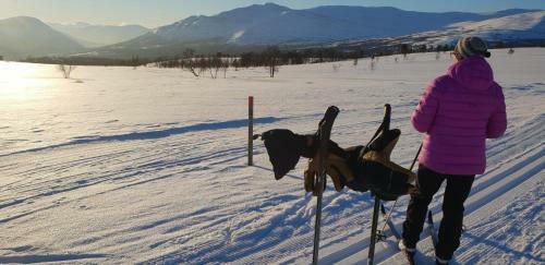 Motel Frich`s Oppdalsporten