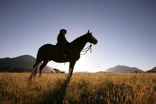 Hotel Grasmere High Country Bed & Breakfast Lodge