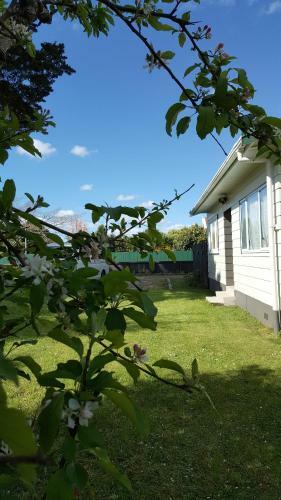 Villa Waihi Wonderland