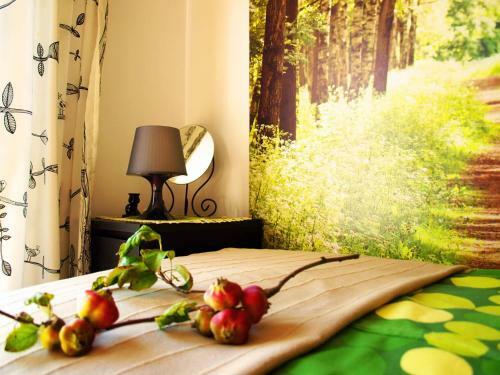 Agroturismo Villa Polskacanaria