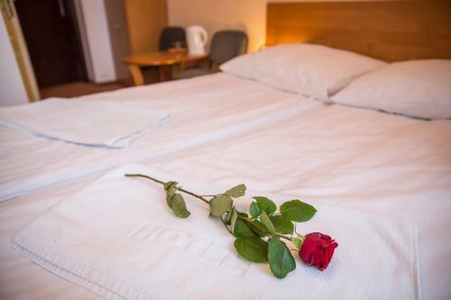 Apartamento Willa Sudety