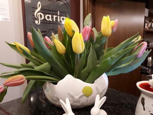 Paria Hotel