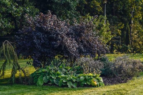 Hotel Eco Niebor�w