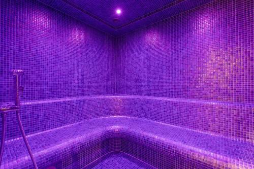 Hotel Amber Park Spa
