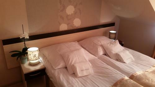 Hostal Villa Rekin