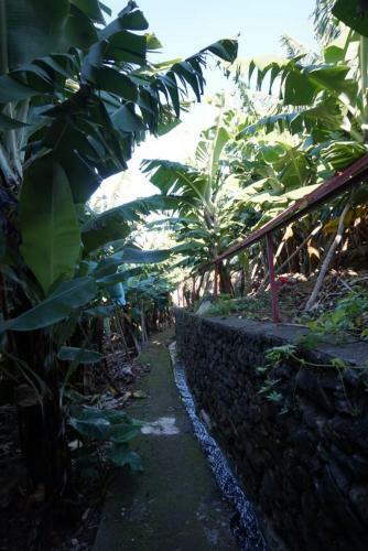 Tabua Suites III