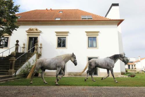 Agroturismo Quinta Da Aldeia de Avanca
