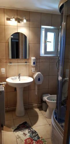 Hostal Pensiunea Casa Beatrice Bran