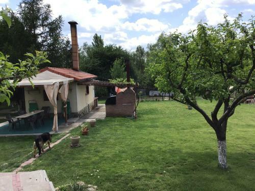 Hotel Villa Siret