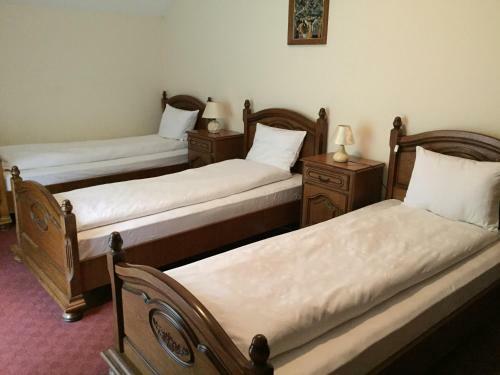 Hotel Pensiunea Turistica Cabana Bradet