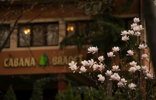 Hotel Pensiunea Turistica Cabana Bradet