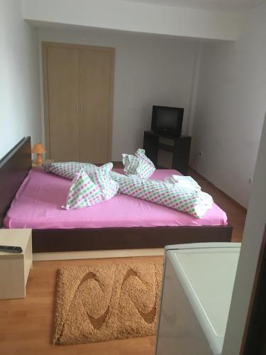 Hostal Pensiunea Rubin
