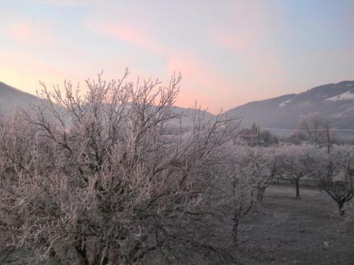Hostal Pensiunea Poezii Alese