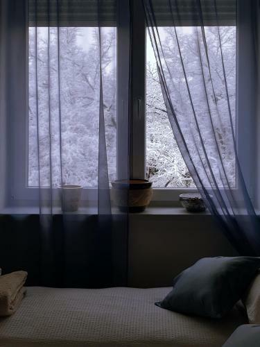 Apartamento Konstantin Lux