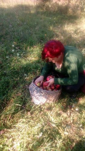 Agroturismo Country House Tomasevic