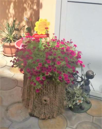 Hostal Guest House On Terskaya 139