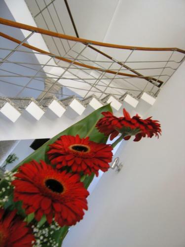 Hostal Casa De Alpajares - Casa De Campo, Enoteca & Spa