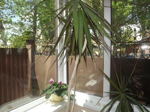 Hostal Guest House Lukomorye