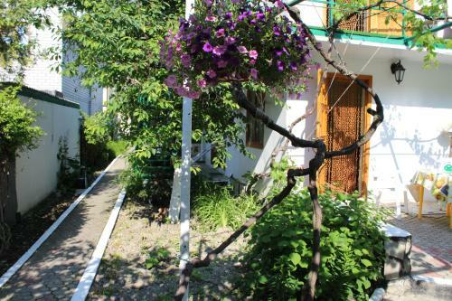 Hostal Guest House On Grinchienko