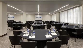 Radisson Plaza Hotel Minneapolis