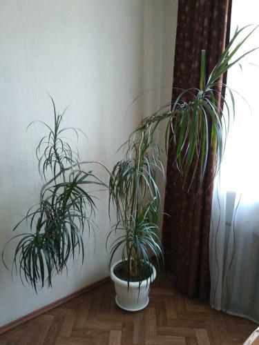 Apartamenty Kirova 32-132