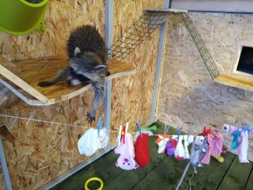 Apartamento Fairy House
