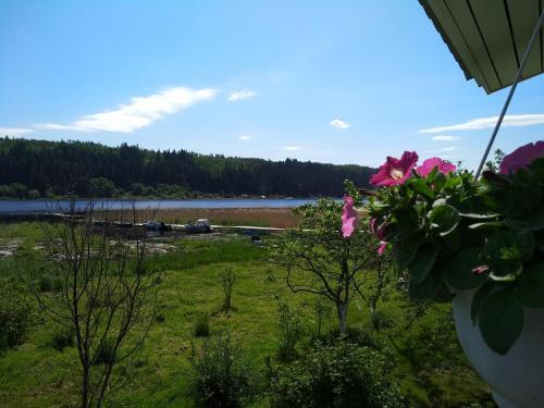 Hostal Lintu 2