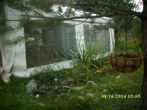 Hostal Selskaya Usadba