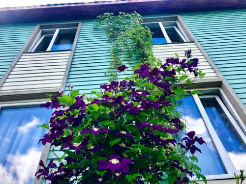Hostal Roshchinskaya Guest House