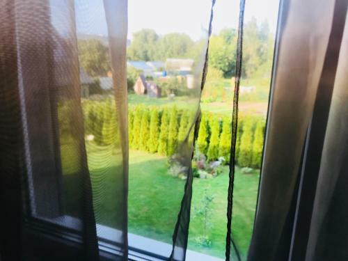 Hostal Roshchinskaya Guest House