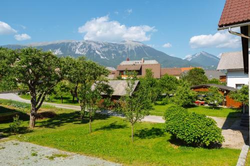 Apartments Burja