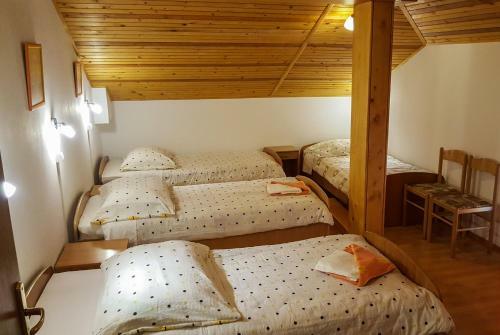 Apartment Zver