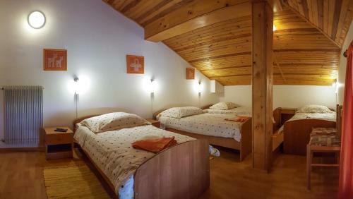 Apartment Zver
