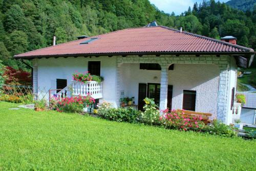 Apartment Zver