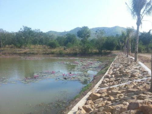 Hotel Sangchan Garden At Kaeng Krachan