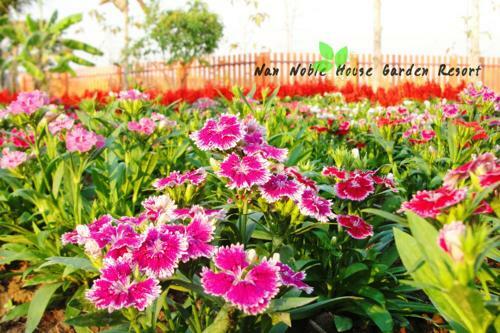 Hotel Nan Noble House Garden Resort