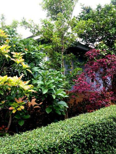 Hotel Khaoyai Nature Retreat
