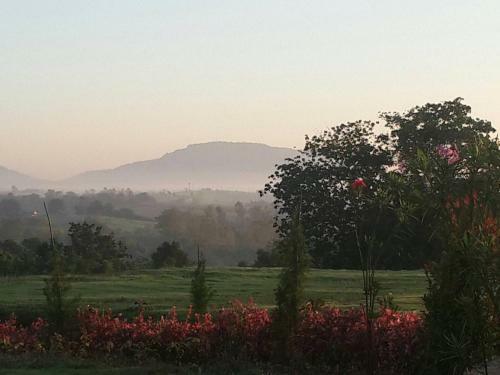 Hotel Khaoyai Nature Retreat