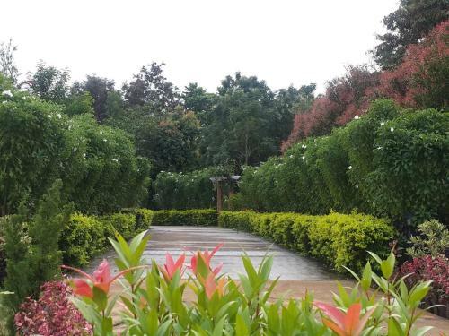 Hotel Khaoyai Nature Retreat