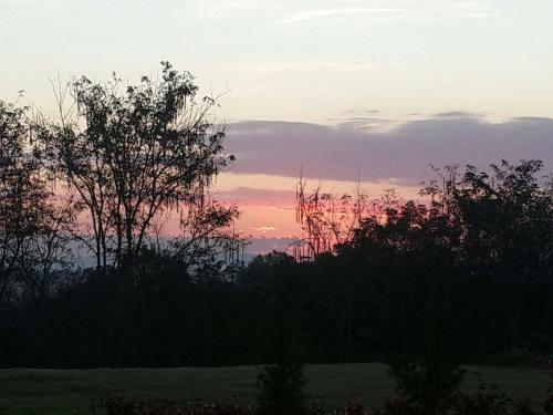 Hotel Khaoyai Nature Retreat