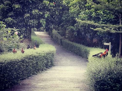 Hotel Khaoyai Nature Retreat