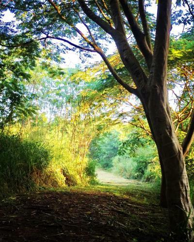Hotel Khaoyai Nature Retreat