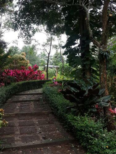 Hotel Khaoyai Nature Retreat